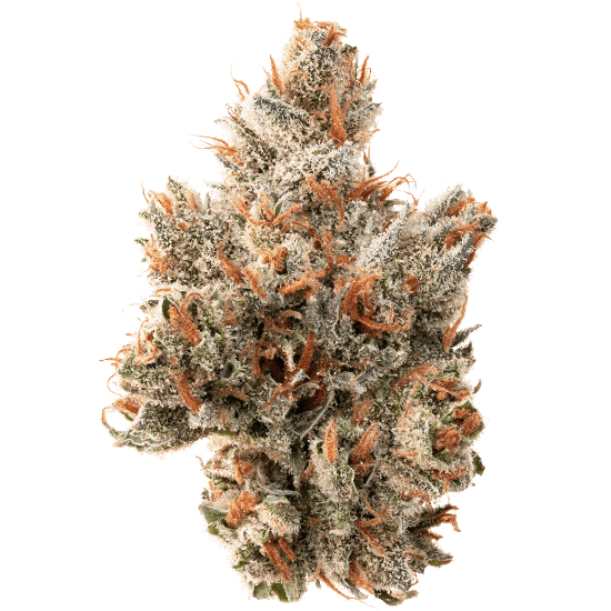 cannablue-premium-flower-nug-550×550-1
